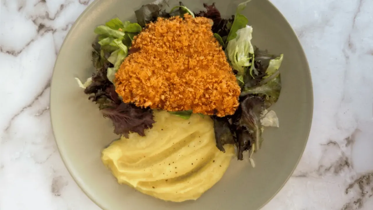 Plant-based fillet suppliers