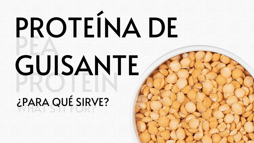 Proteína de guisante