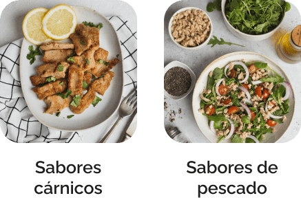 ingredientes plant based marinados