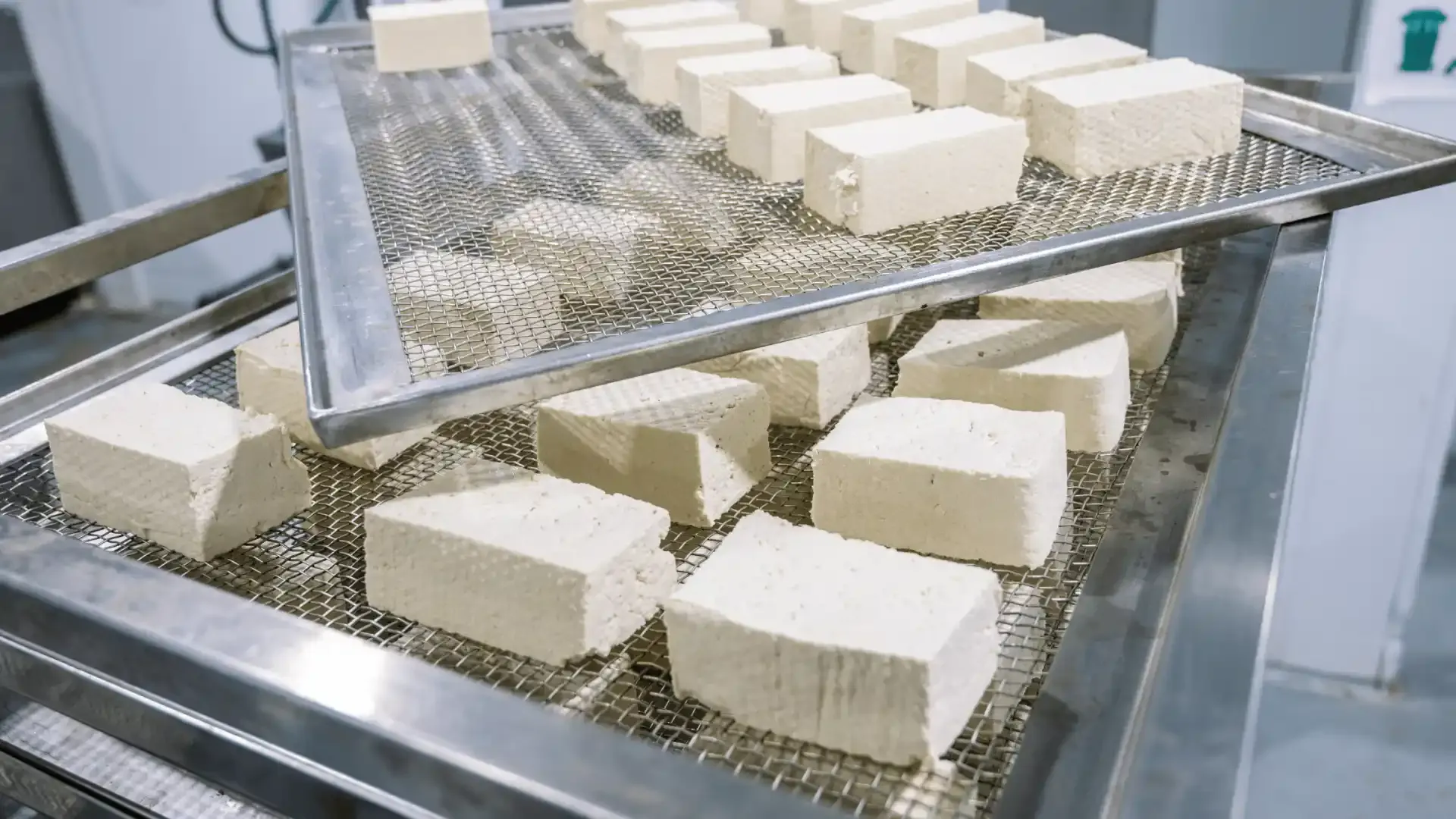Cómo gestionar stock de tofu ecológico sin generar desperdicio
