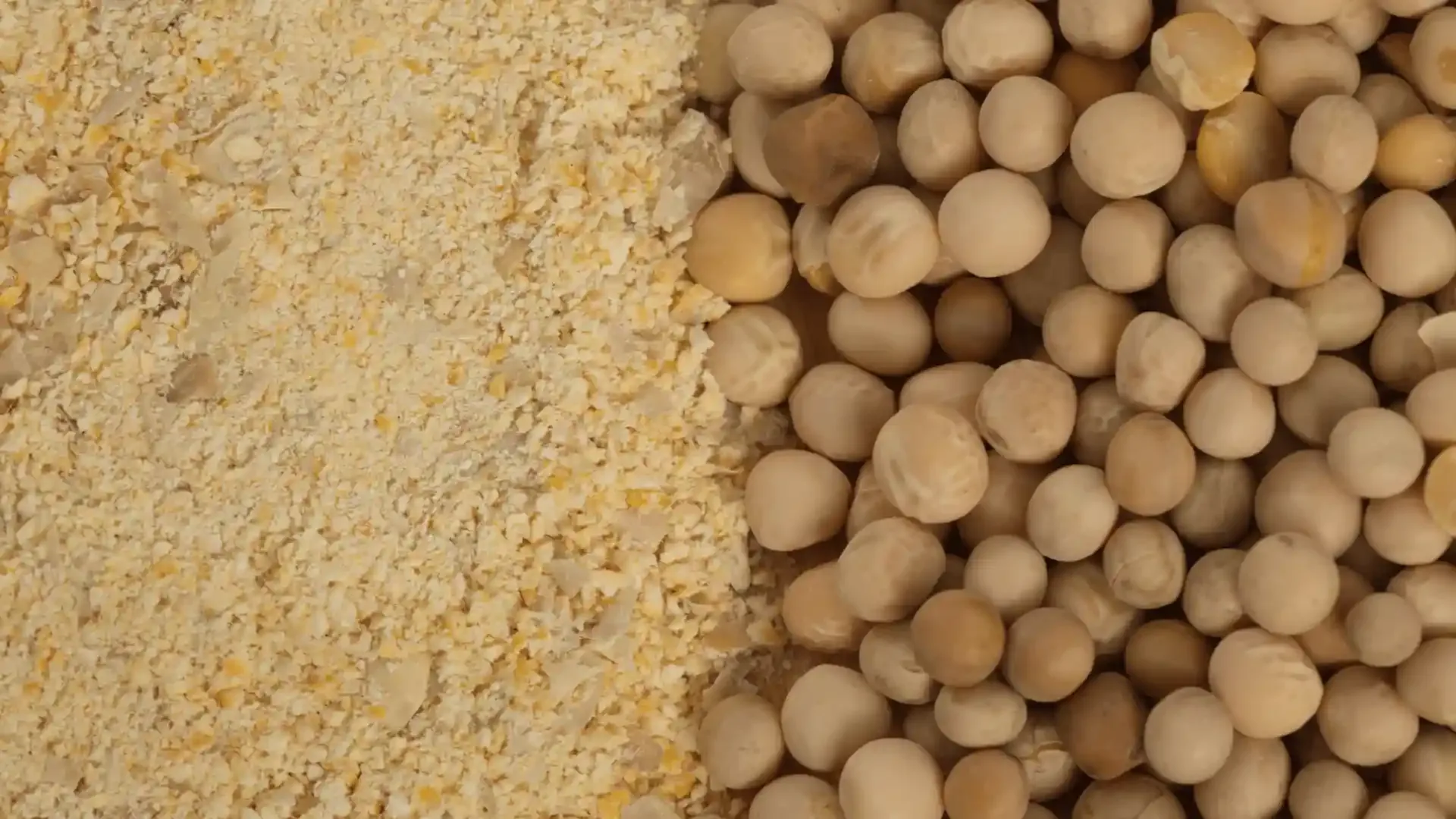 Diferencias entre harina de guisantes y almidón de guisantes