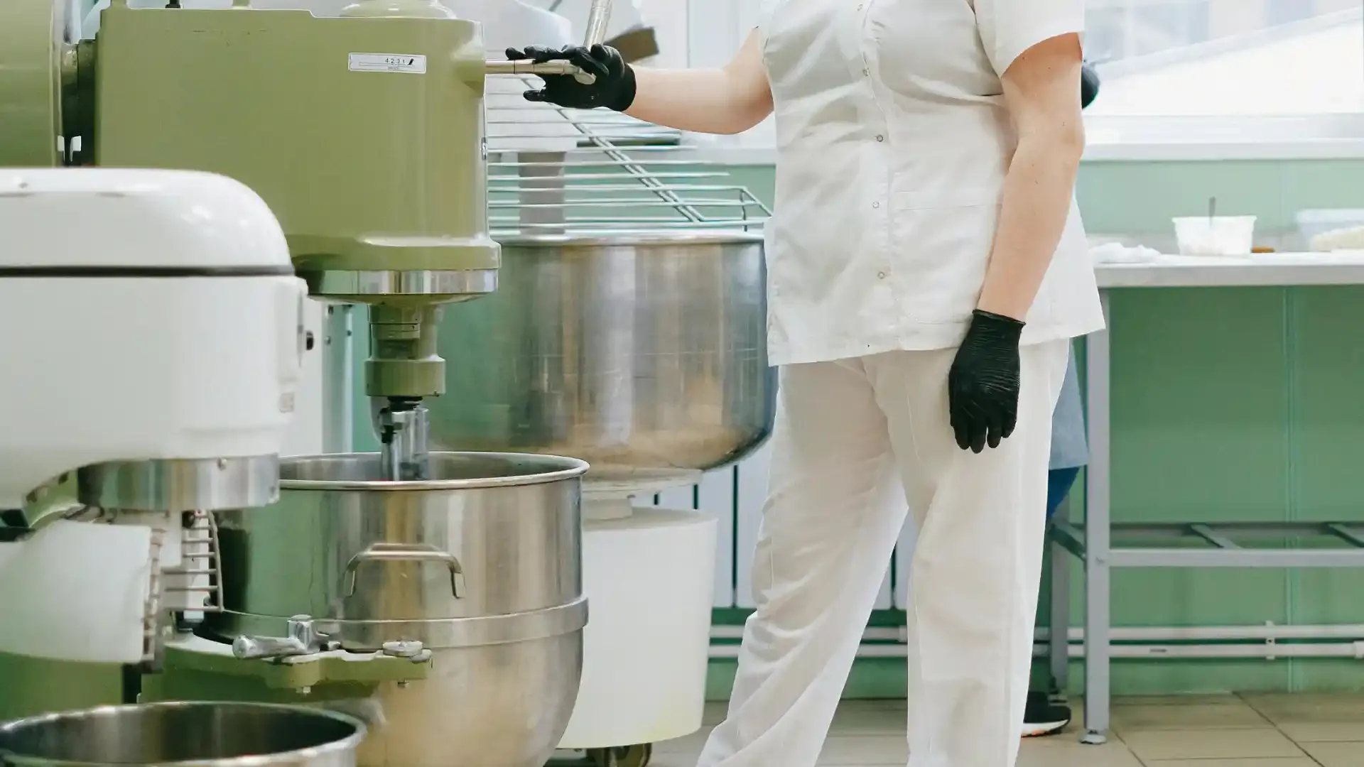 Uses of Starch in the Food Industry