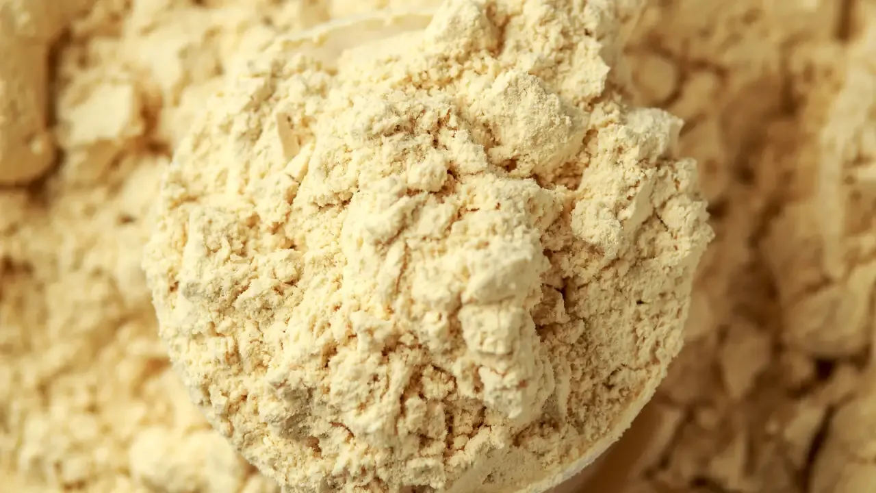 What is plant-based protein for