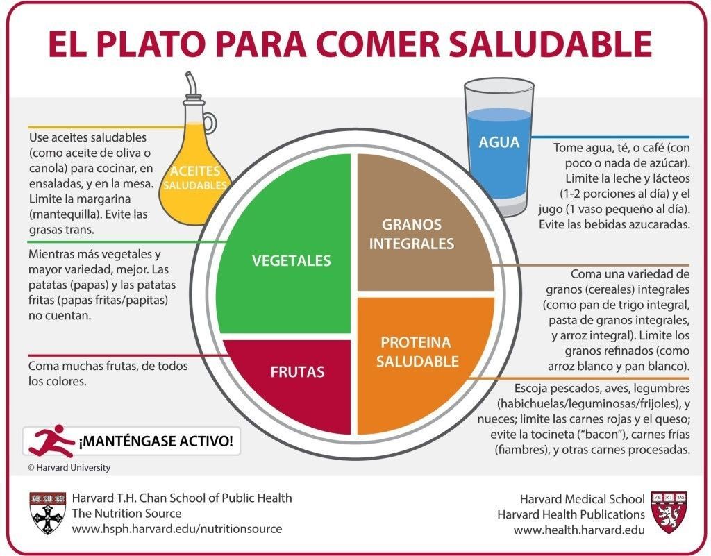Plato Harvard