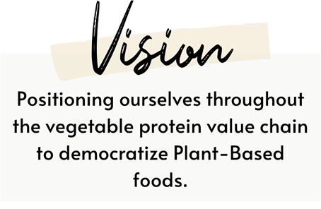 vision-en