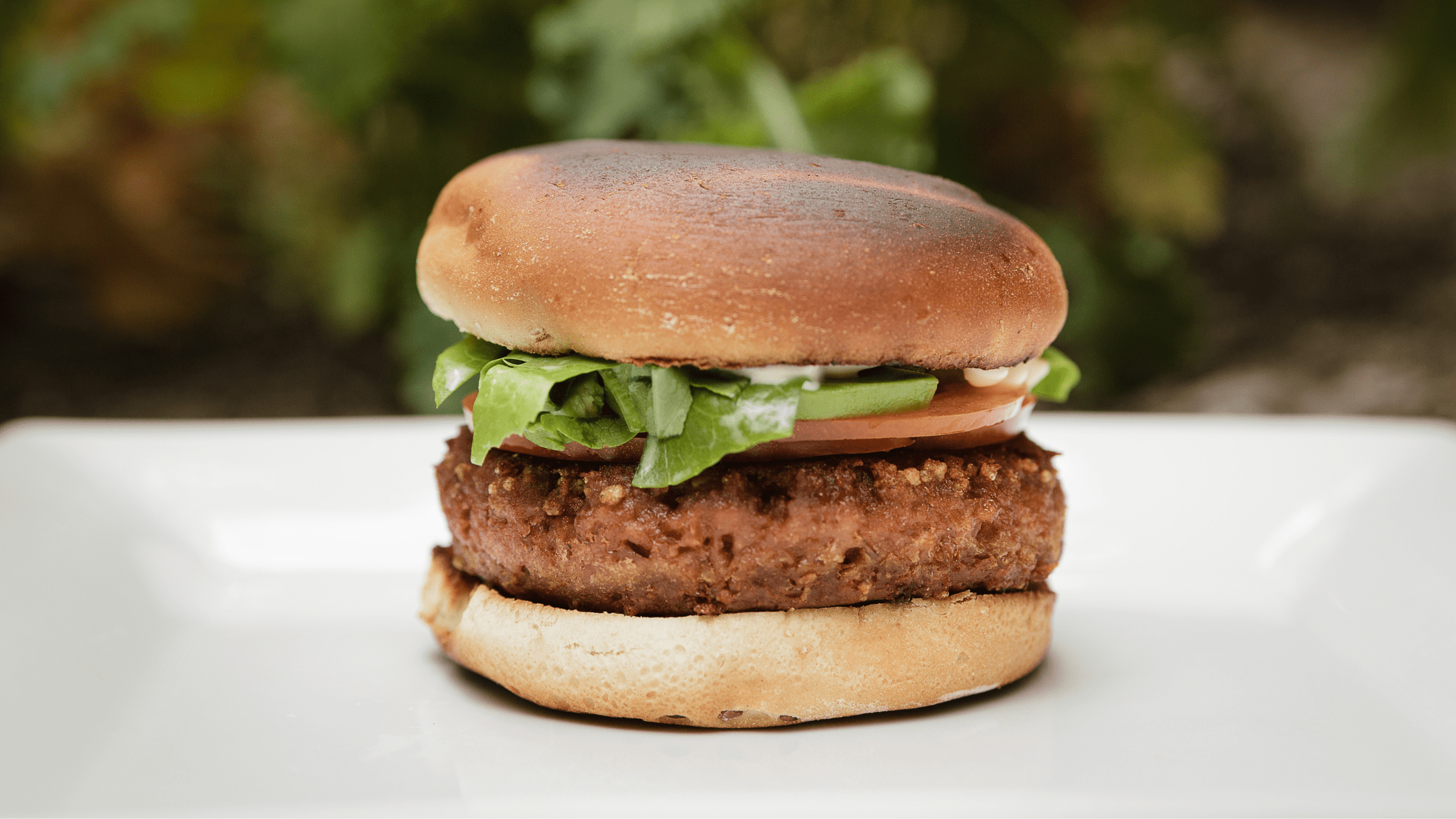 A delicious vegan alternative Pea Protein Burgers Sanygran