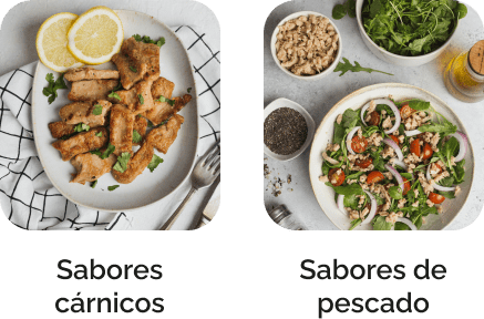 ingredientes plant based marinados