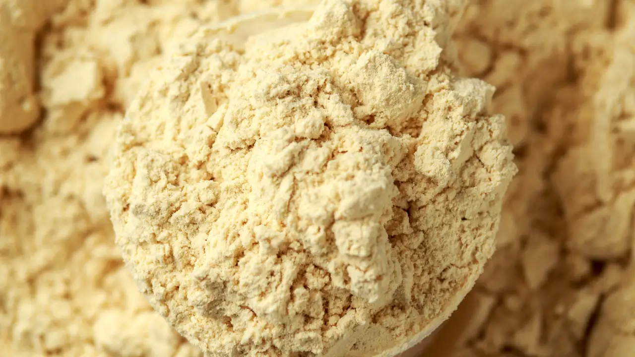 What is plant-based protein for