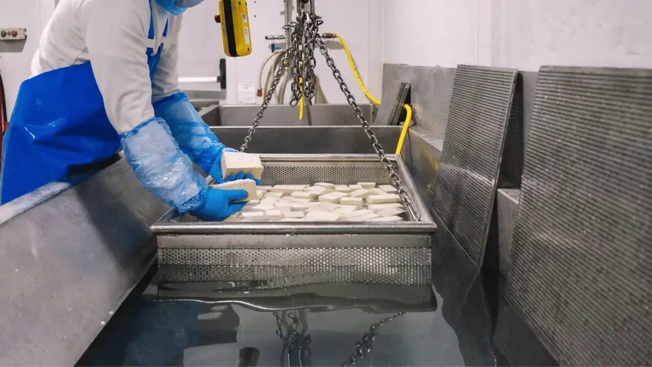 The Importance of Validating Plant-Based Production