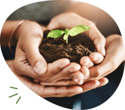 Fabricante de ingredientes y productos terminados plant-based